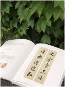 上海博物馆典藏丛刊：上海博物馆藏楹联