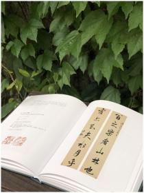 上海博物馆典藏丛刊：上海博物馆藏楹联