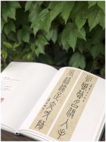 上海博物馆典藏丛刊：上海博物馆藏楹联