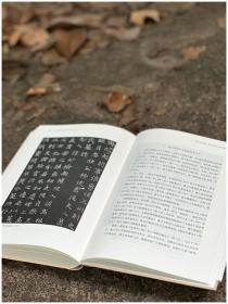 合璧：墓志中的南北朝书法体系