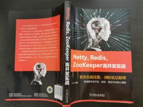 Netty、Redis、Zookeeper高并发实战 深入剖析Netty、Redis、ZooKeeper，全面系统讲解底层原理，微服务框架