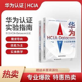 华为HCIA-Datacom认证实验指南