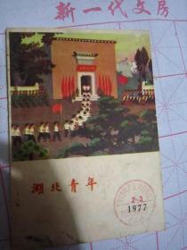 湖北青年1977.2-3