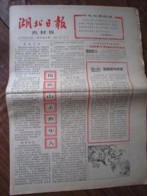 湖北日报农村版1965.9.28