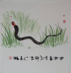 <十二生肖-蛇>约68*68cm，宣纸画芯。店铺区更多作品与您结缘。纯手绘