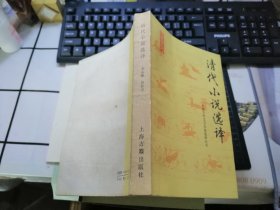 清代小说选译 （中国古代文言小说选译）