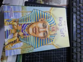 Who Was King Tut?