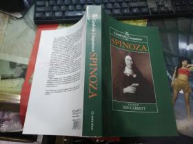 The Cambridge Companion to SPINOZA