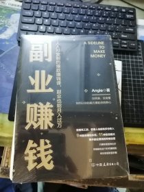 副业赚钱 人人可复制的爆款赚钱课 副业也能月入过万