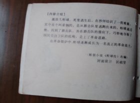 小印量套书连环画《流浪儿小传》上下两册完整——自藏八