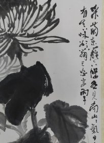 福建著名画家，林楷，荷花