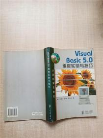 Visual Basic 5.0编程实例与技巧【内有笔迹】.