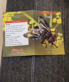 Flies