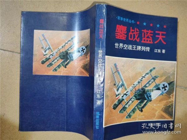 鏖战蓝天:世界空战王牌列传
