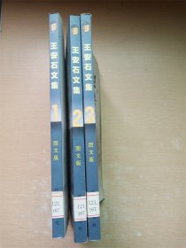 王安石文集【1、2、3 三本合售】【馆藏】【书口泛黄有污迹】