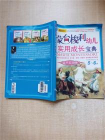 蒙台梭利幼儿实用成长宝典：亲子互动版（5～6岁）