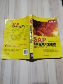 SAP实用程序开发进阶【大厚本】