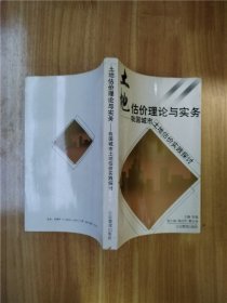 土地估价理论与实务:我国城市土地估价实践探讨【扉页泛黄】