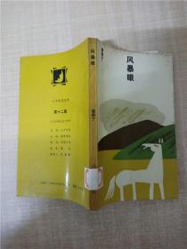 风暴眼 作家出版社【馆藏】