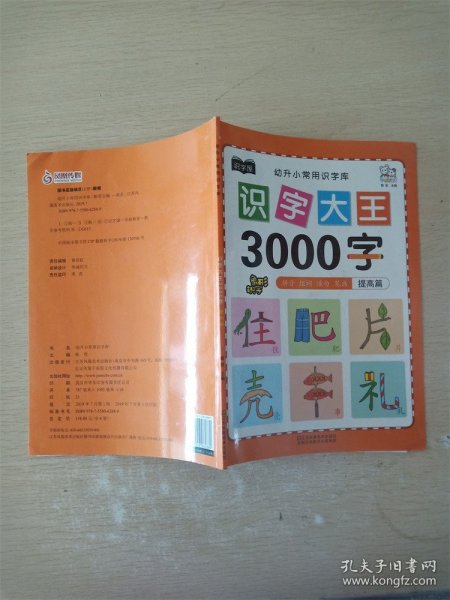 幼儿学前识字大王3000字全套6册 幼小衔接一日一练全套识字教材 幼儿园大班中班小班一年级3-4-5-6岁幼升小看图识字神器儿童启蒙早教认字书