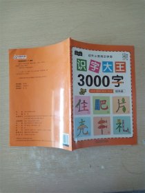 幼儿学前识字大王3000字全套6册 幼小衔接一日一练全套识字教材 幼儿园大班中班小班一年级3-4-5-6岁幼升小看图识字神器儿童启蒙早教认字书