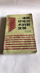 沸腾燃烧技术的新发展