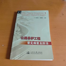 公路养护工程常见病害及防治