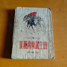 暴风雨的诞生 1953