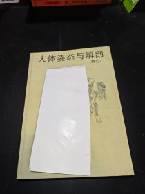 人体姿态与解剖