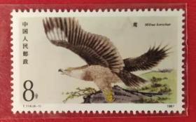 特种邮票 《T.114  猛禽》（4-1  鸢）