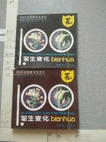 100花图案写生变化(上下)