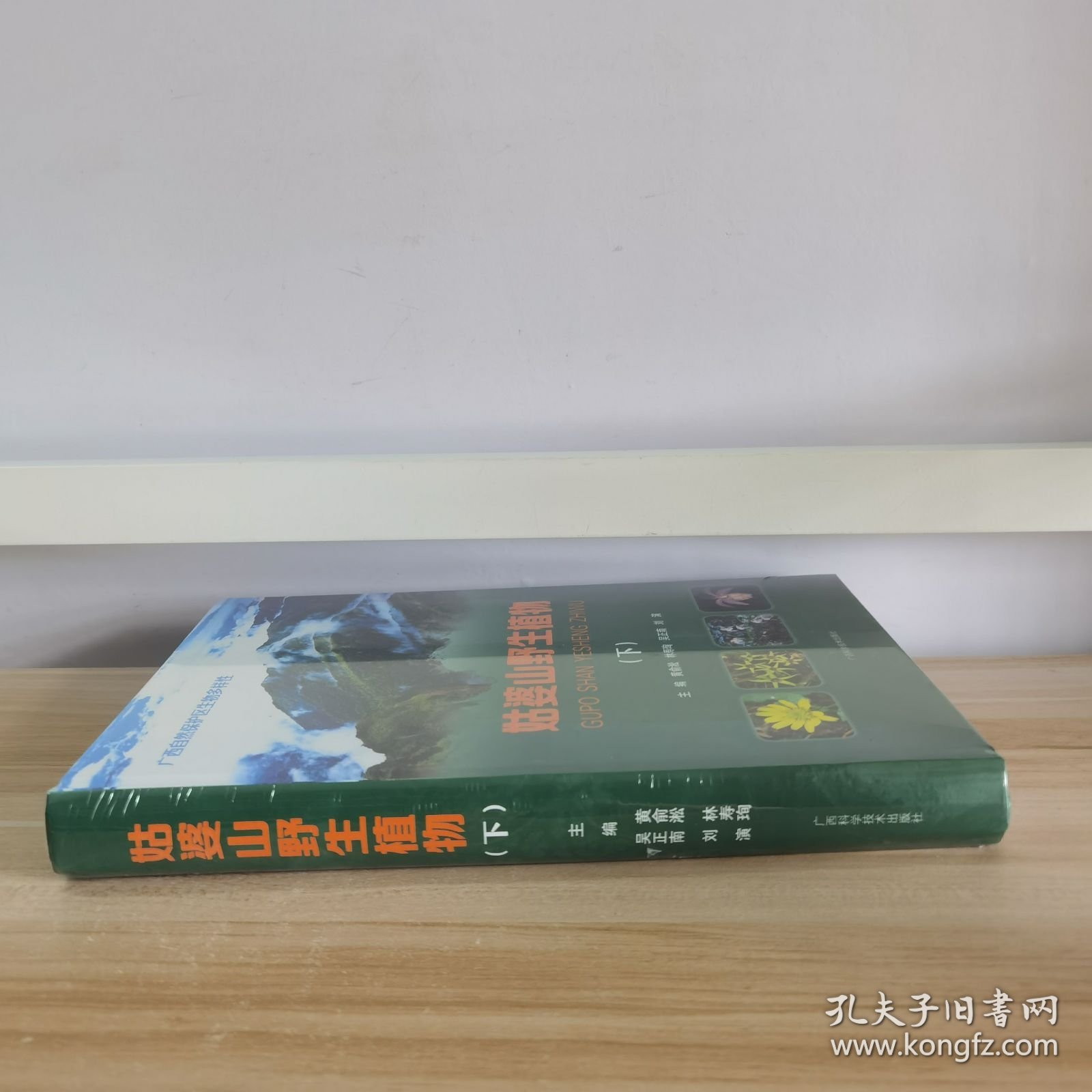 姑婆山野生植物（下）