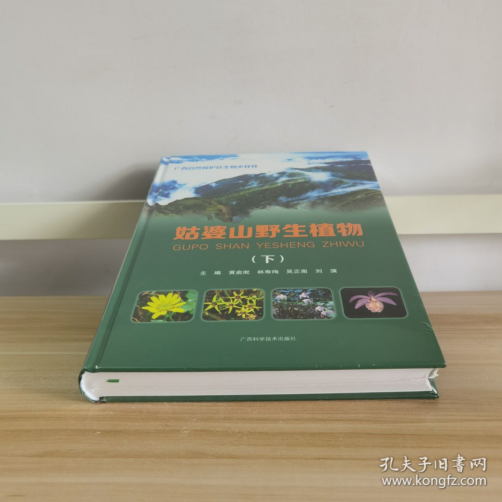 姑婆山野生植物（下）