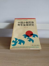 中国少数民族青年发展研究