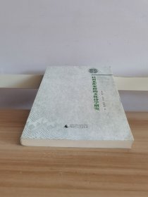 桂西北作家群的文化诗学研究
