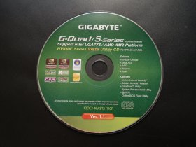 GIGABYTE             1张光盘（裸碟）