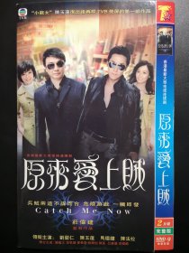 【连续剧】原来爱上贼 2DVD