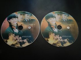 【连续剧】幸福像花儿一样 2DVD（裸碟）