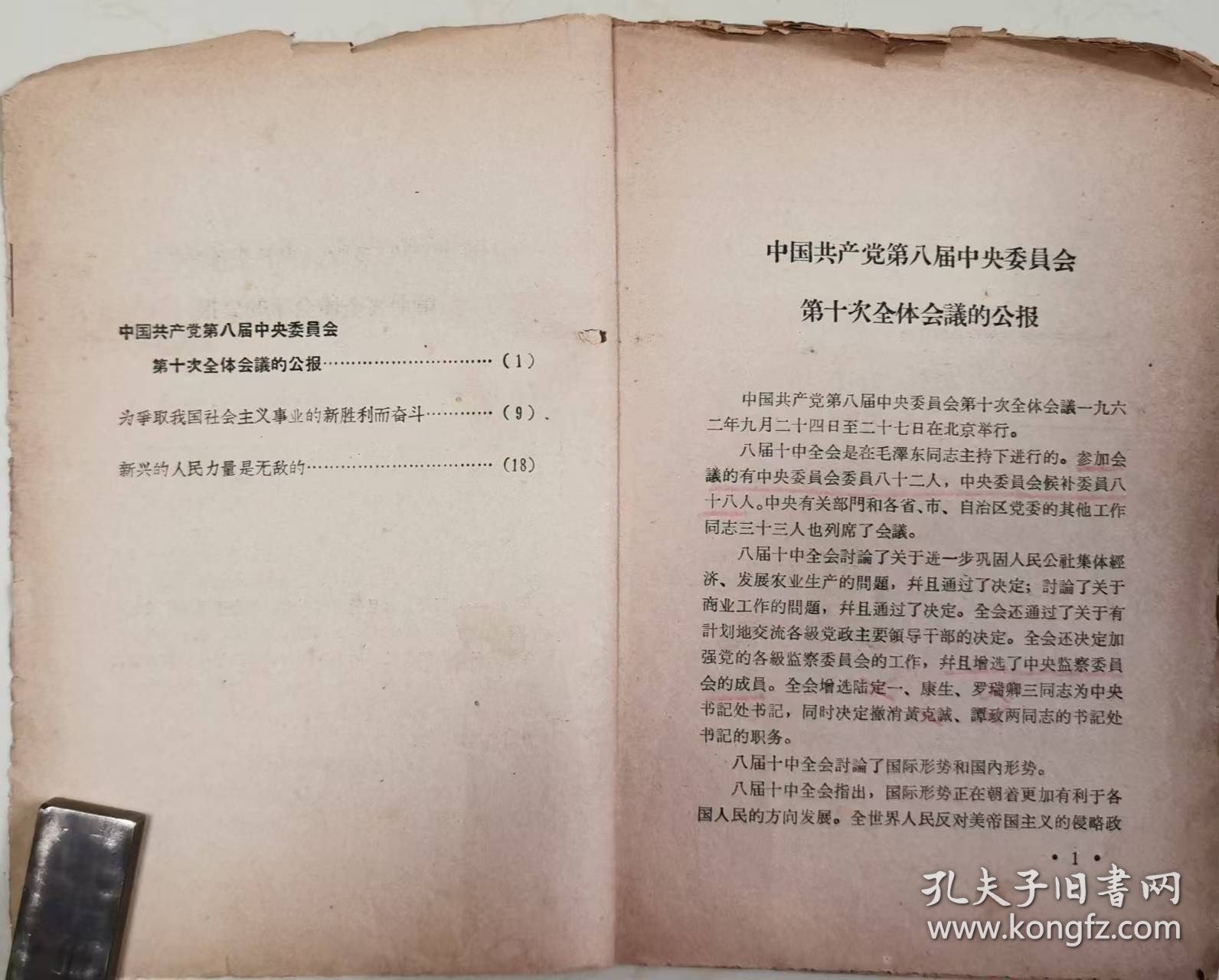 中国共产党第八届中央委员会第十次全体会议公报