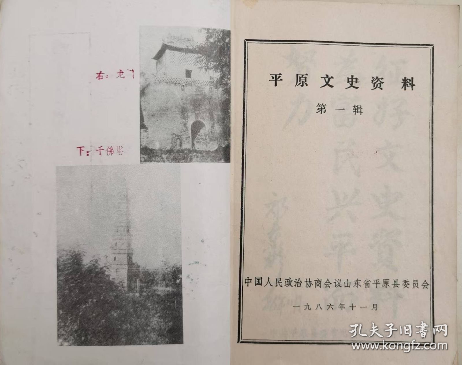 平原文史资料（1）