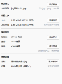 【提供资料信息服务】老地图 山东全省州县自治区域图 青州府临朐县 原图不清慎拍