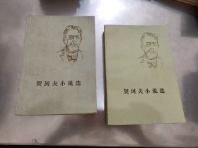 契诃夫小说选（上下册）