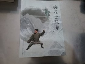 梅花太极拳