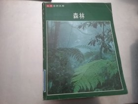 生活自然文库【原始人，森林】两本合售