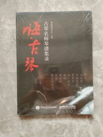 古琴谱 古琴改变曲谱 嗨 古琴 古琴名师琴谱集录 【未开封】