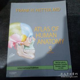 Atlas of Human Anatomy 5Edition (大16开 英文原版）