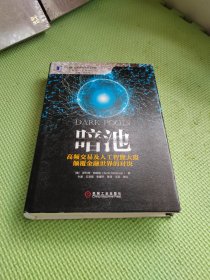 暗池：高频交易及人工智能大盗颠覆金融世界的对决【精装】