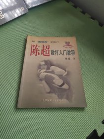 陈超散打入门教程