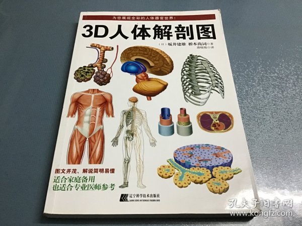 3D人体解剖图