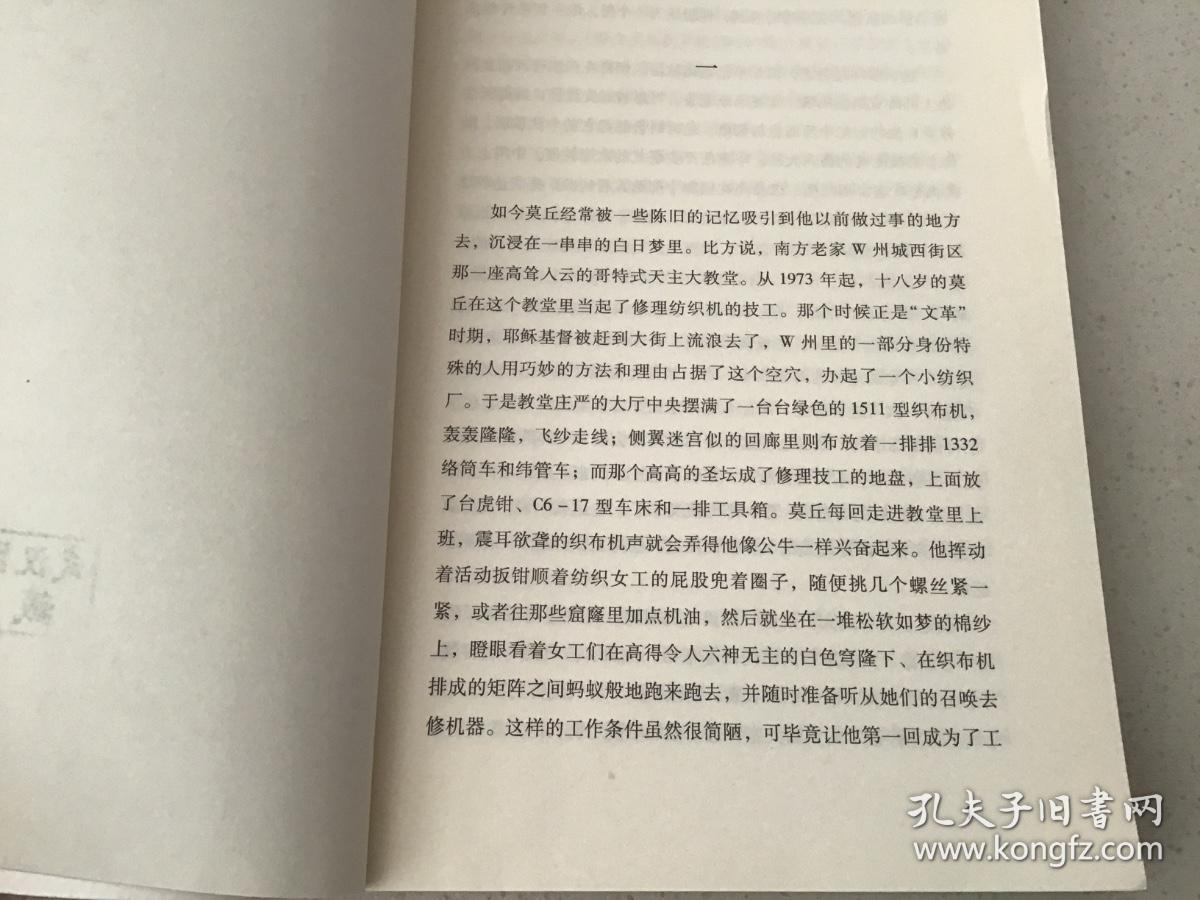 布偶